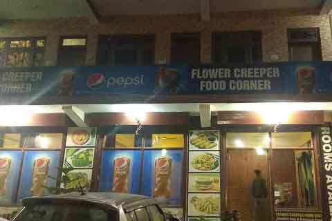 Hotel flower creeper guest house tatapani